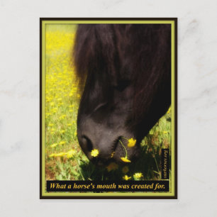 Wofür ein Pferdemund geschaffen wurde Postkarte