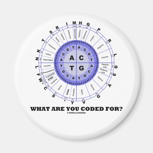 Wofür werden Sie programmiert? (Amino-Säurerad) Magnet (Vorne)