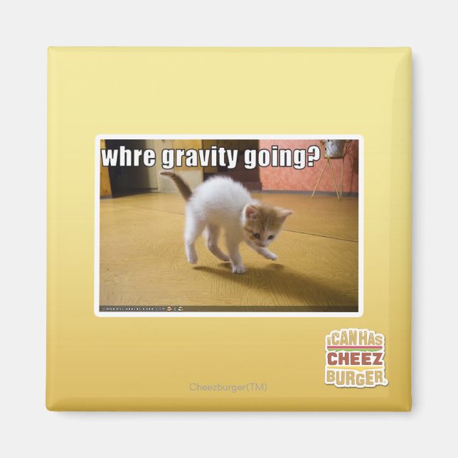 Wohin geht die Schwerkraft? Magnet (Vorne)