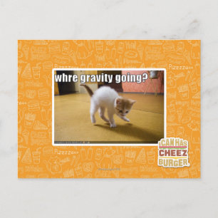 Wohin geht die Schwerkraft? Postkarte