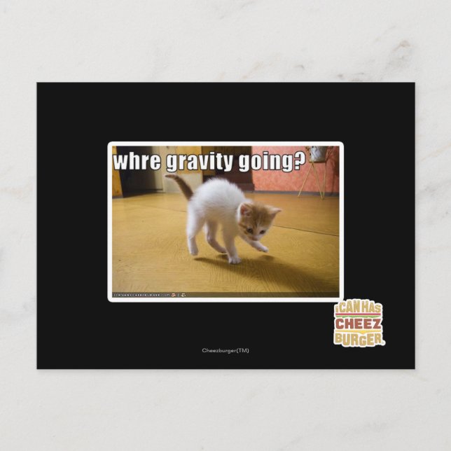 Wohin geht die Schwerkraft? Postkarte (Vorderseite)