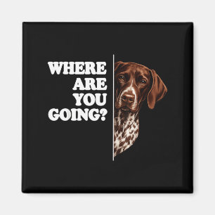 Wohin geht German Shorthaired Pointer Magnet