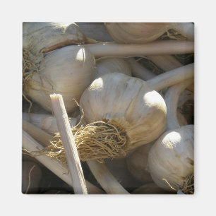 Wohlriechend köstlich in der rohen Form Magnet