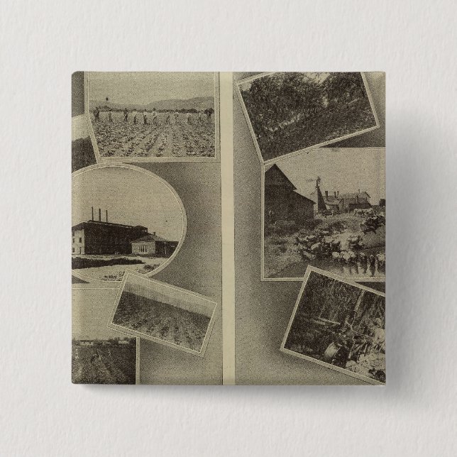 Wohlstand in der Landwirtschaft, Oregon Button (Vorderseite)