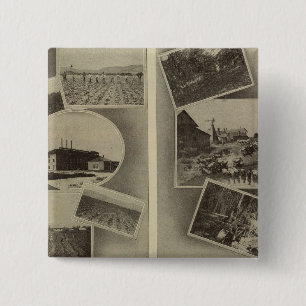 Wohlstand in der Landwirtschaft, Oregon Button