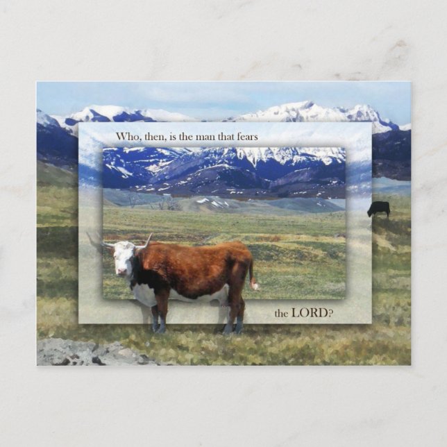 Wohlstand und Erbschaft Postkarte (Vorderseite)