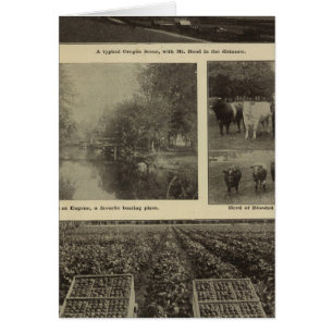 Wohlstand, viel in Oregon