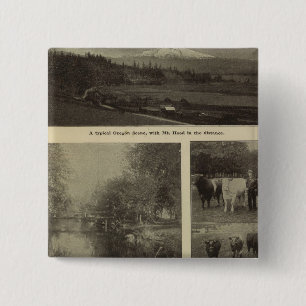 Wohlstand, viel in Oregon Button