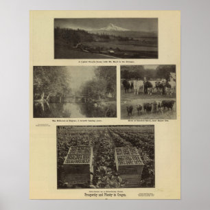 Wohlstand, viel in Oregon Poster