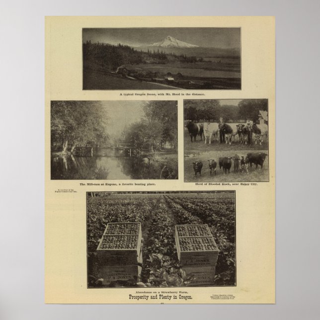 Wohlstand, viel in Oregon Poster (Vorne)