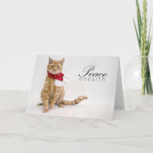 Wohltätigkeit-Feiertags-Karten Feiertagskarte