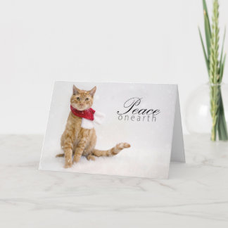 Wohltätigkeit-Feiertags-Karten Feiertagskarte