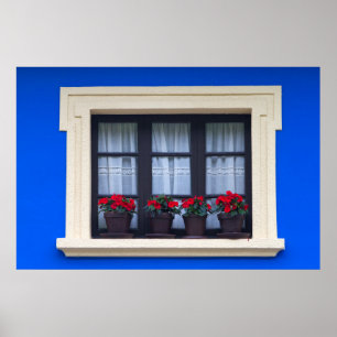 Wohnhäuser mit Blumen in den Fenstern Poster