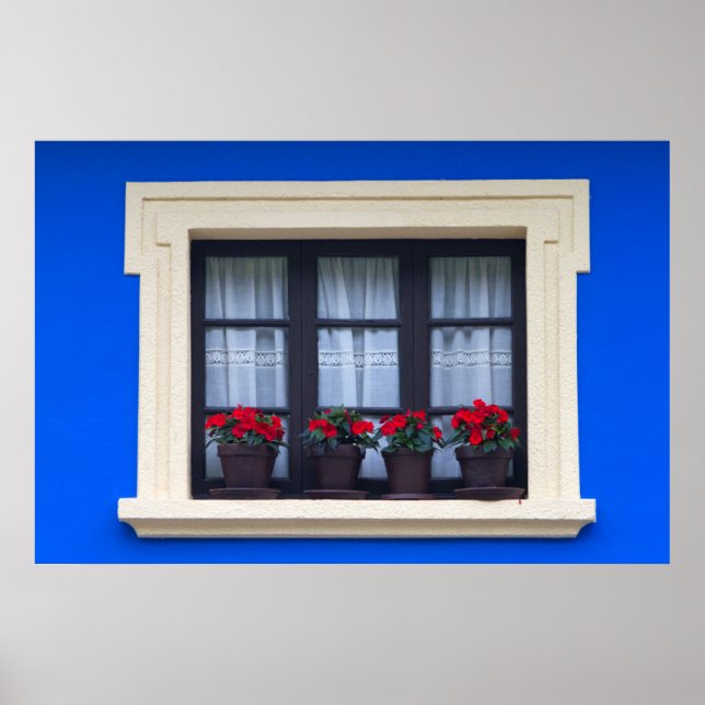 Wohnhäuser mit Blumen in den Fenstern Poster (Vorne)
