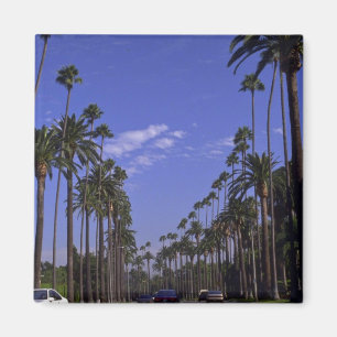 Wohnrodeo-Antrieb, Beverly Hills, Kalifornien Magnet