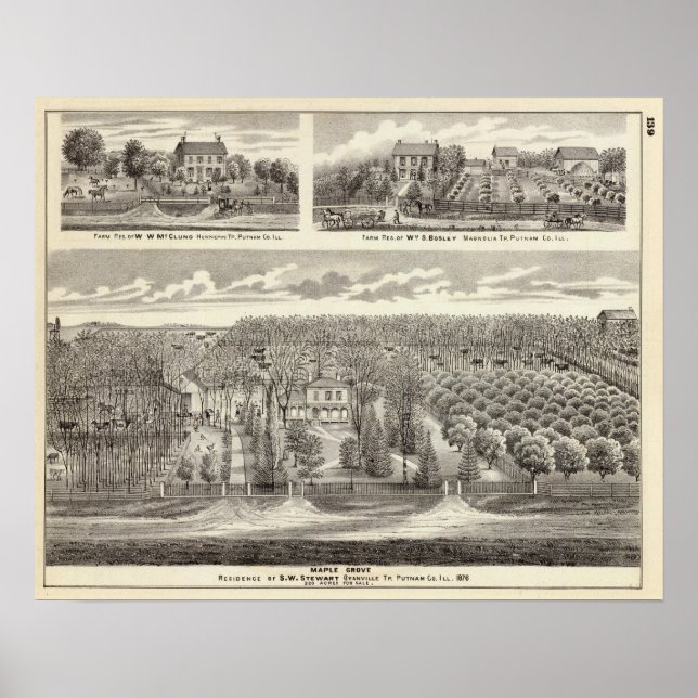 Wohnsitz Maple Grove Poster (Vorne)