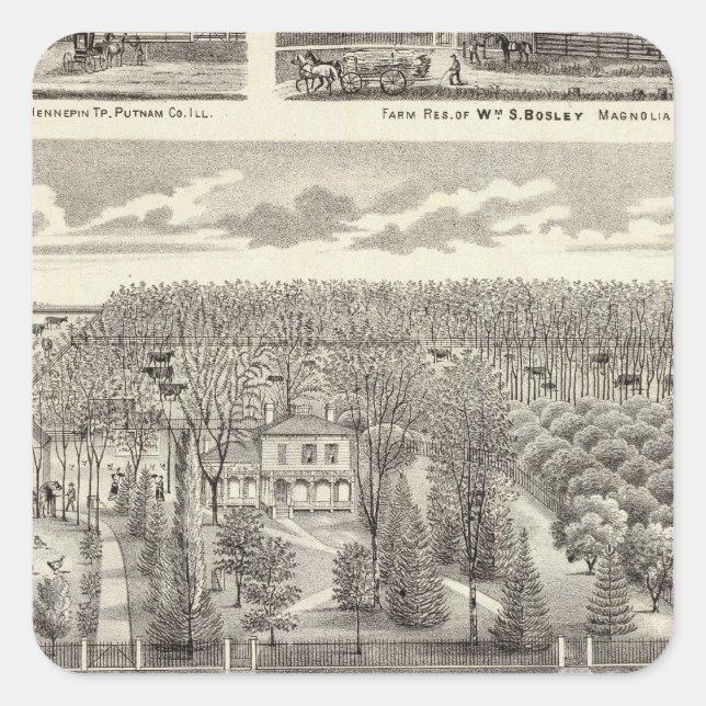 Wohnsitz Maple Grove Quadratischer Aufkleber (Vorderseite)