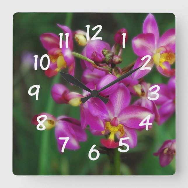 Wohnzimmer - lila Orchideen Foto Quadratische Wanduhr (Vorderseite)