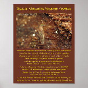 Wolbachia Mosquito Kontrolle Risks by RoseWrits Poster