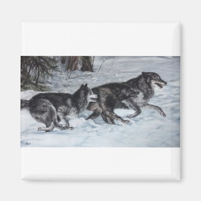 Wölbchen, die durch den Schnee laufen Magnet (Vorne)