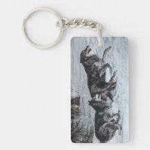 Wölbchen, die durch den Schnee laufen