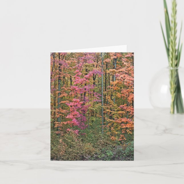 "WOLDE IN HERBST" NOTECARD KARTE (Vorderseite)