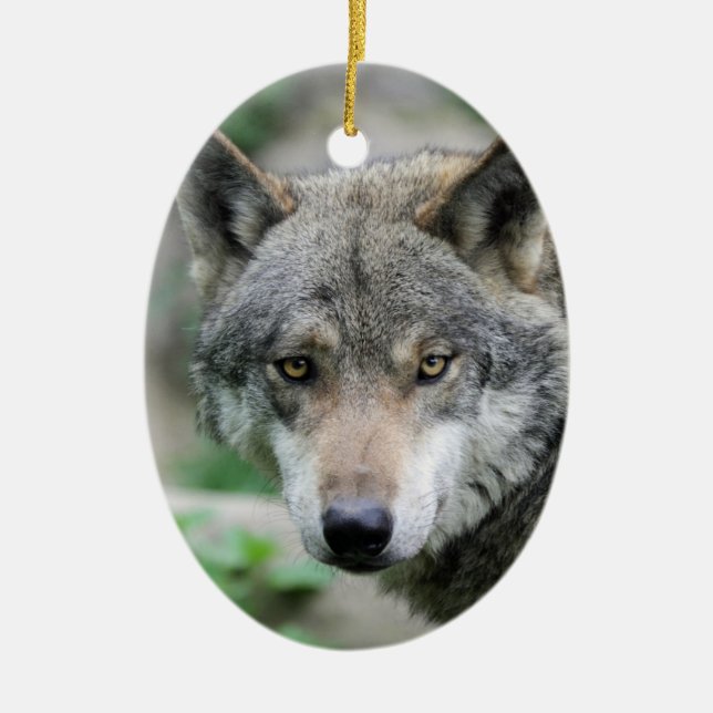 Wolf_011 Keramikornament (Vorne)