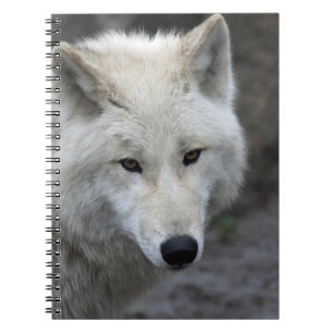 Wolf 015 notizblock