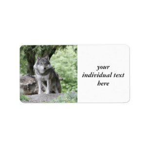 Wolf 14AJ Adressaufkleber