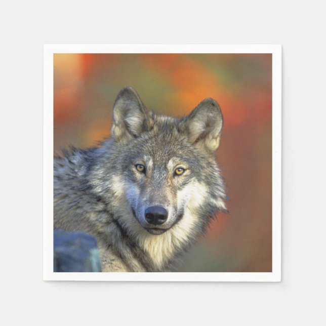 Wolf_2015_0301 Serviette (Vorderseite)