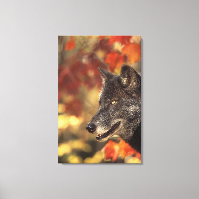 Wolf 3 leinwanddruck (Vorderseite)