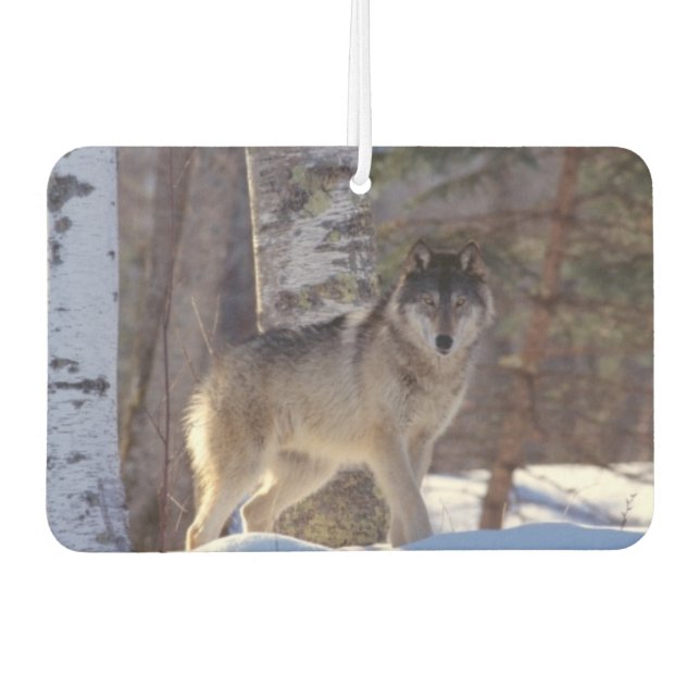 Wolf Air Freshener Autolufterfrischer (Vorderseite)