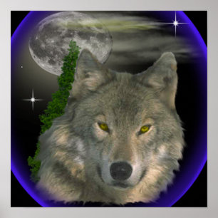 Wolf am Nachtposter Poster