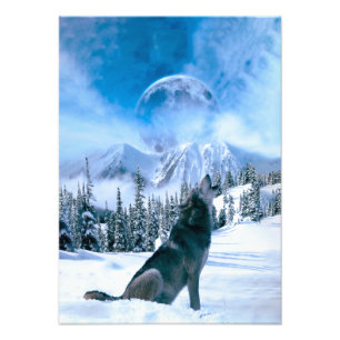Wolf-Anruf Fotodruck