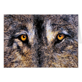 Wolf-Augen
