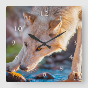WOLF BERGSTREAM QUENCHER QUADRATISCHE WANDUHR