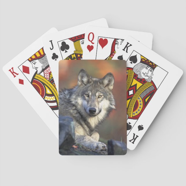 Wolf Bicycle Playing Cards Spielkarten (Rückseite)