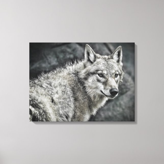 WOLF：Canvas Print Leinwanddruck (Vorderseite)