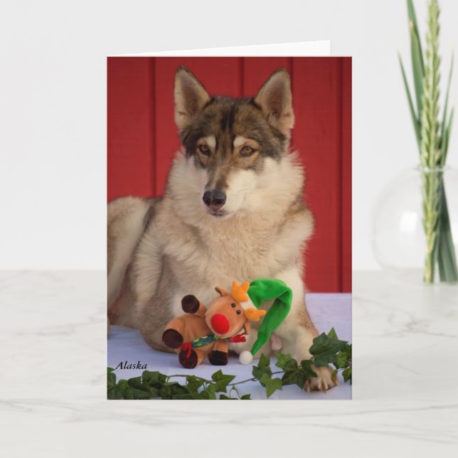 Wolf Christmas Card Feiertagskarte (Vorderseite)