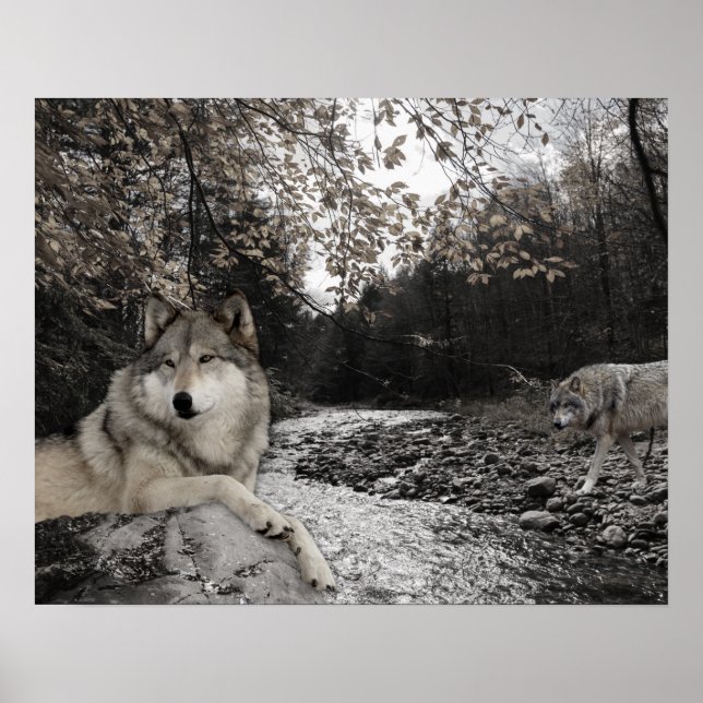Wolf Creek Brook Waldlandschaft Poster (Vorne)