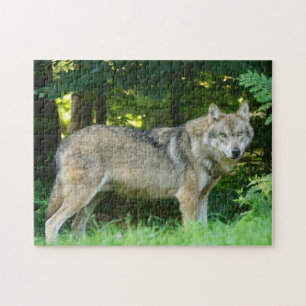Wolf Dog im Wald Puzzle