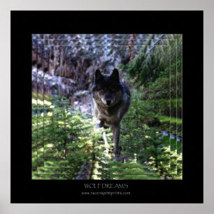 WOLF DREAMS Art Poster