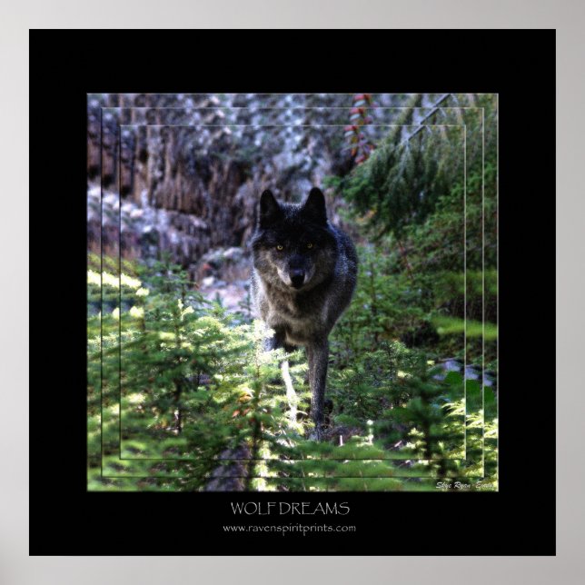 WOLF DREAMS Art Poster (Vorne)