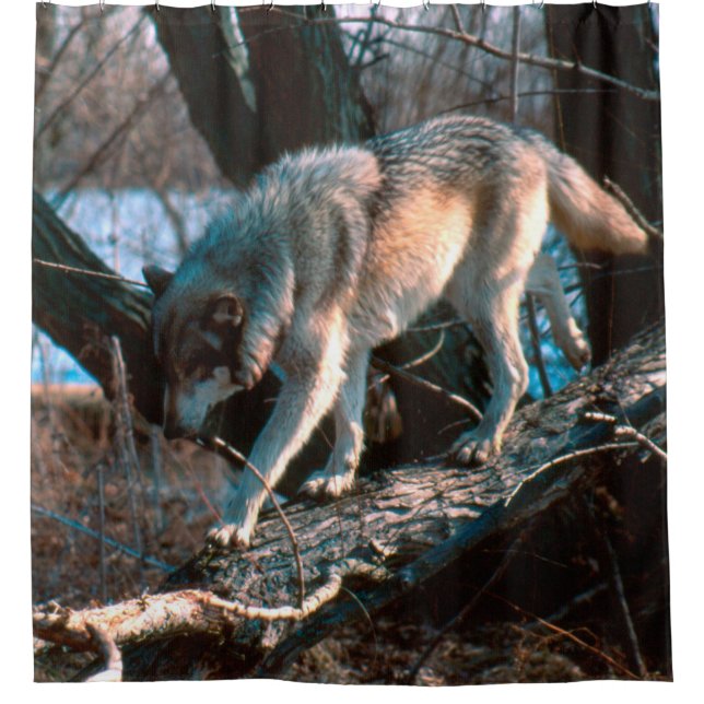Wolf Duschvorhang (Vorderseite)