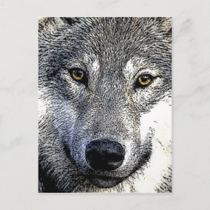 Wolf Eyes Artwork Postkarte