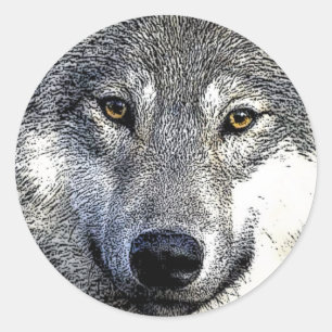 Wolf Eyes Artwork Runder Aufkleber