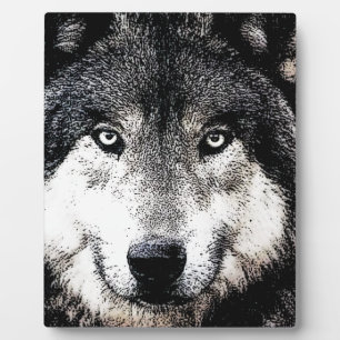 Wolf Eyes Fotoplatte