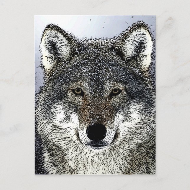 Wolf Eyes Postkarte (Vorderseite)