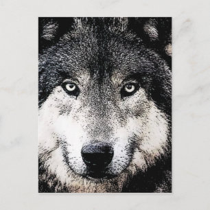 Wolf Eyes Postkarte