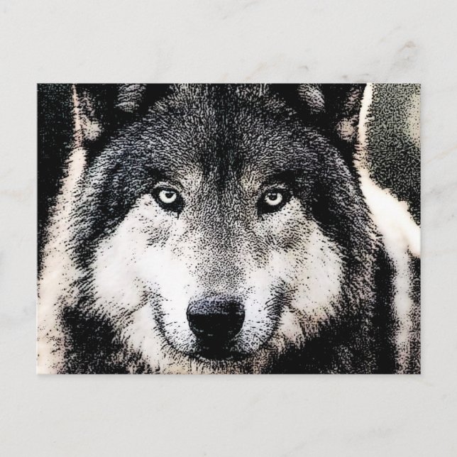 Wolf Eyes Postkarte (Vorderseite)